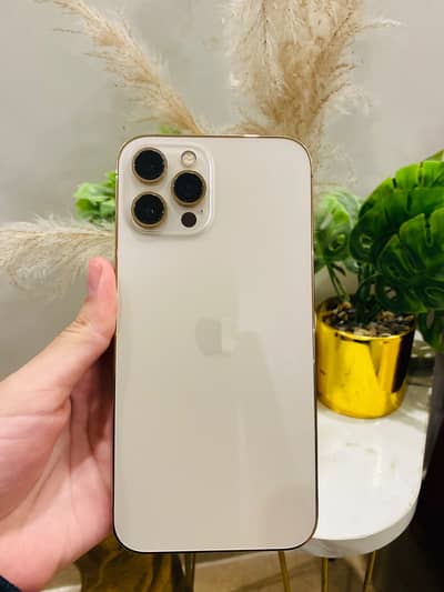 Apple iPhone 12 Pro Max
