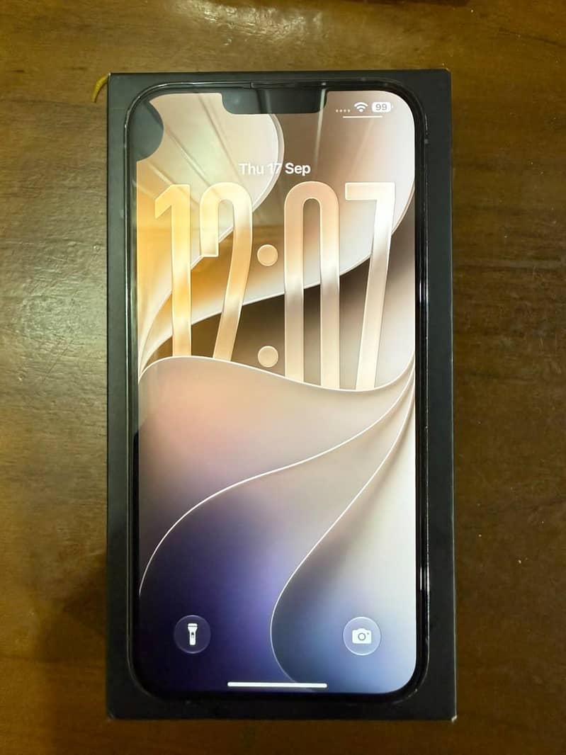 Apple iPhone 13 Pro Max 1