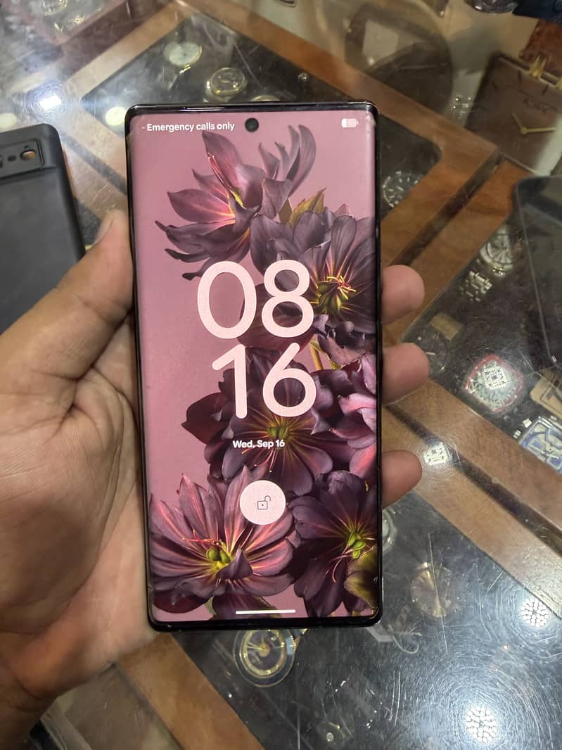 Google Pixel 6 Pro 3