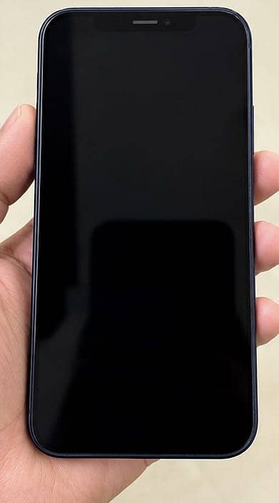 Apple iPhone 12