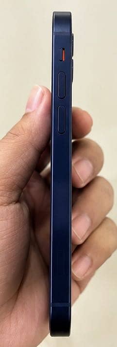 Apple iPhone 12 1