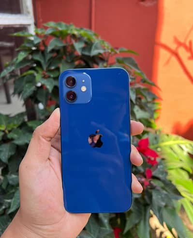 I phone 12