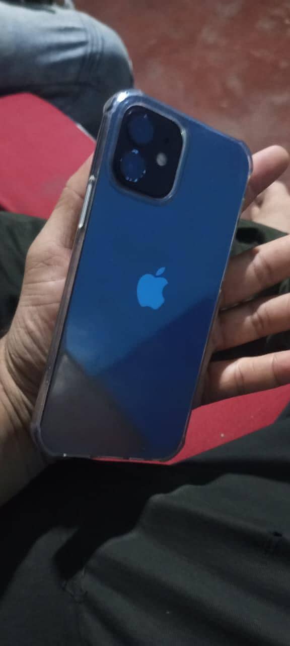 Apple iPhone 12 1