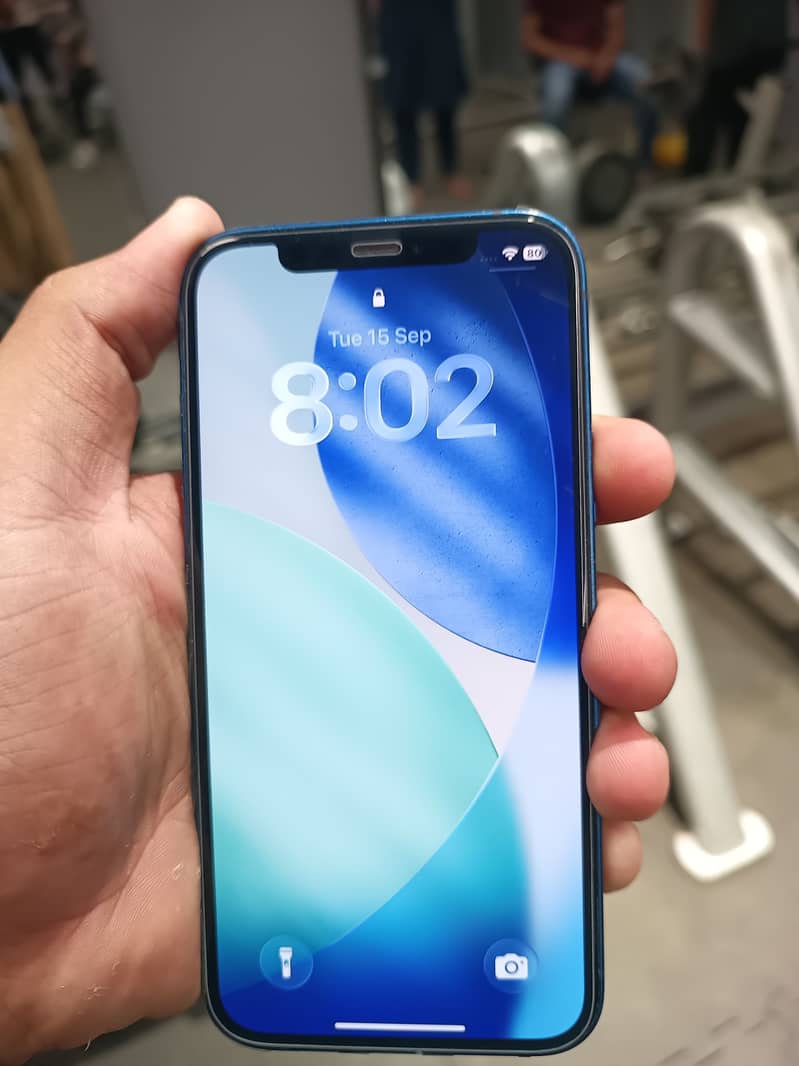 Apple iPhone 12 1