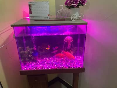 Aquarium with fishes