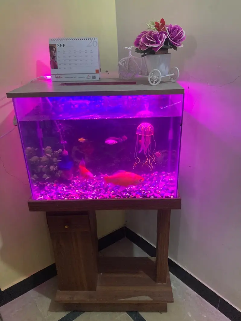 Aquarium with fishes — photo 5