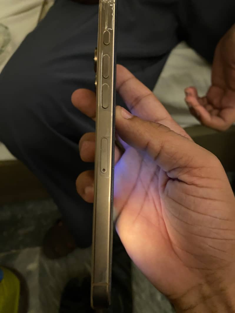 Apple iPhone 16 Pro Max 1