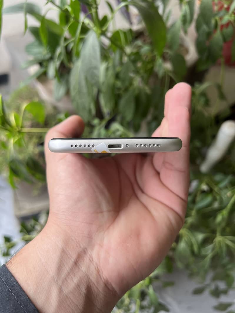 Apple iPhone 11 2