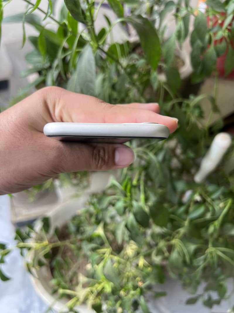 Apple iPhone 11 3