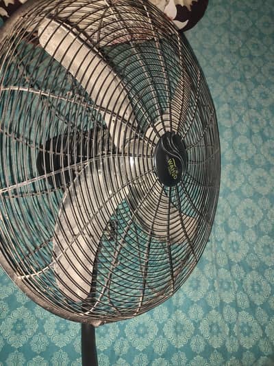 fan for sale