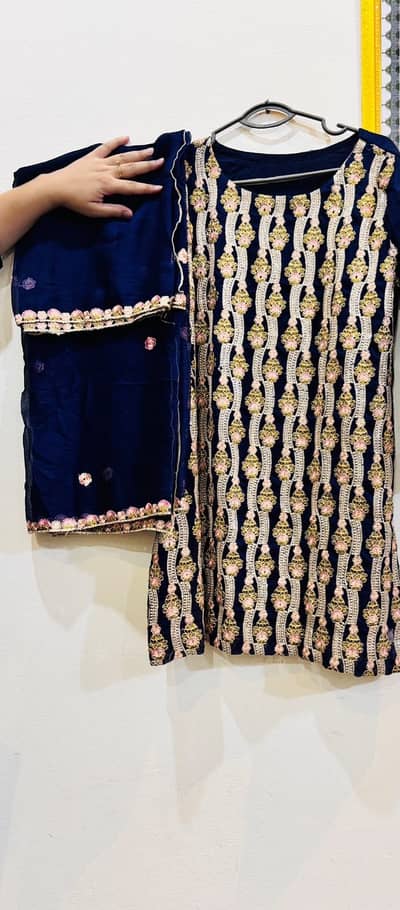 Bambor Shifon & Organza Suits Availble