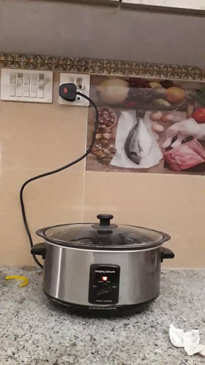 Electric slow cooker for sell