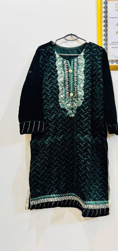 Velvet and Organza Shirts