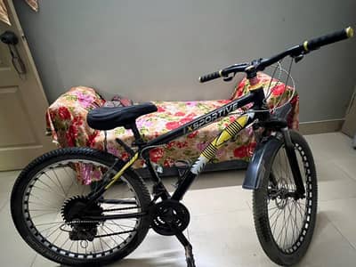 MOUNTAIN BIKE
