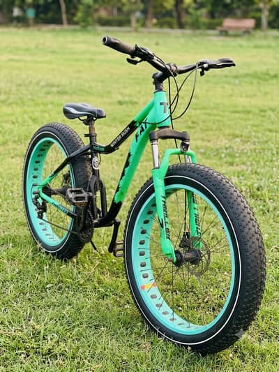 FAT tyre cycle heavy duty gears bicycle