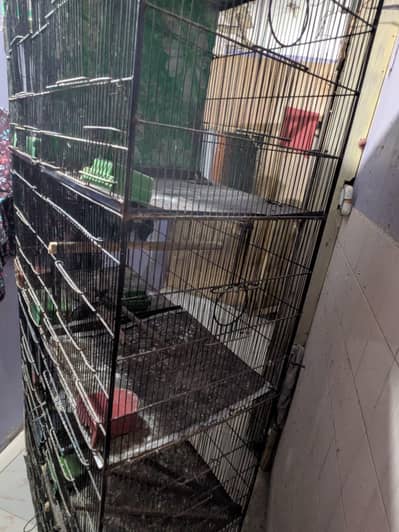 cage/pinjra