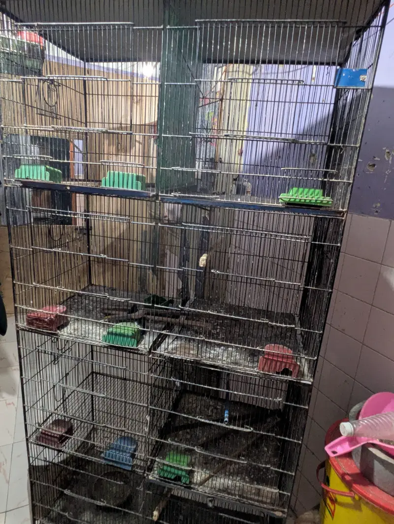 cage/pinjra — photo 2