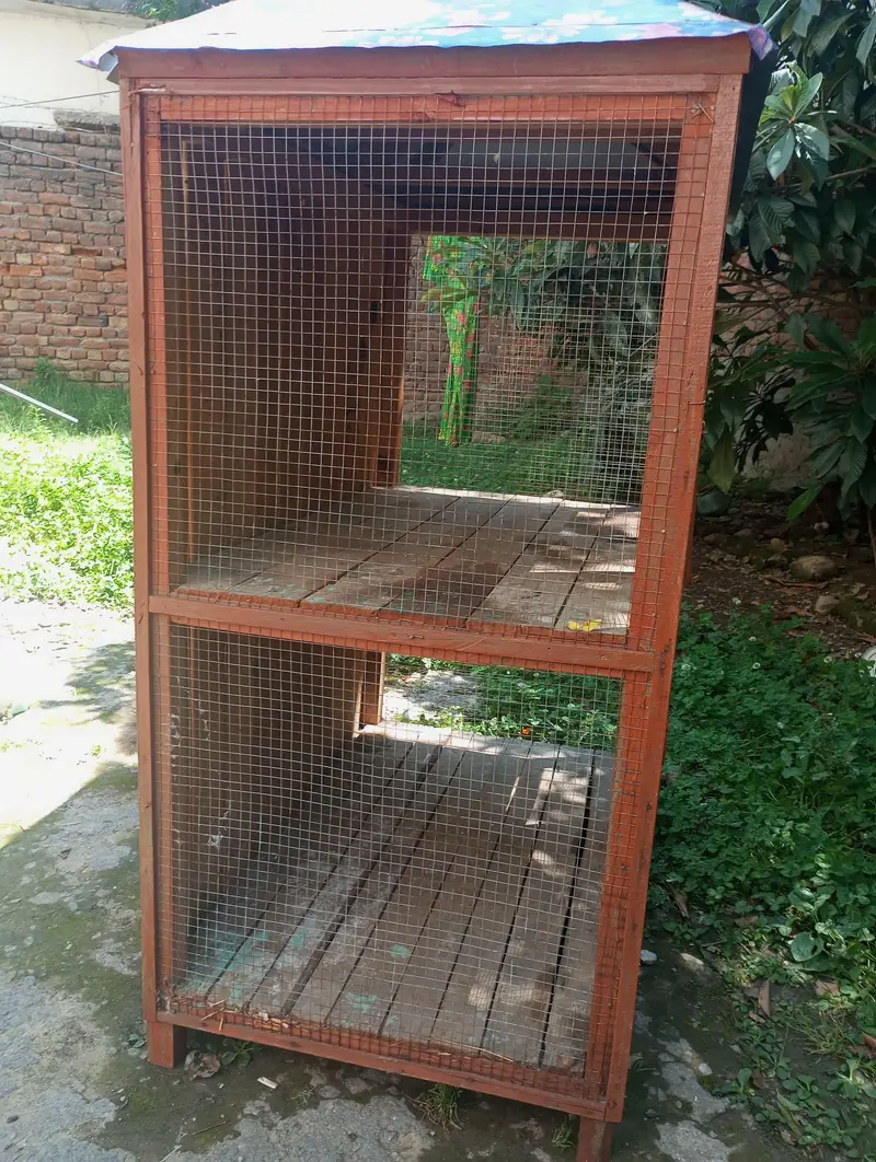 cage for sale urgent — photo 2
