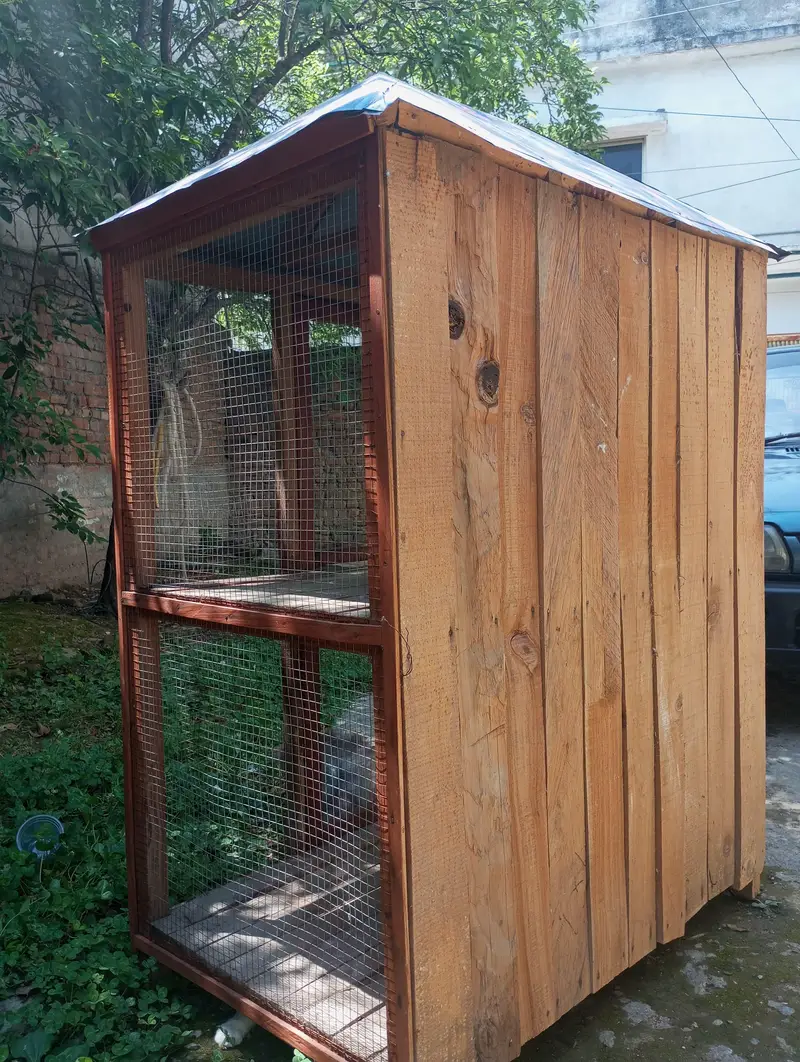 cage for sale urgent — photo 4