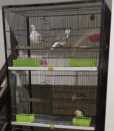 cage 4 pairs