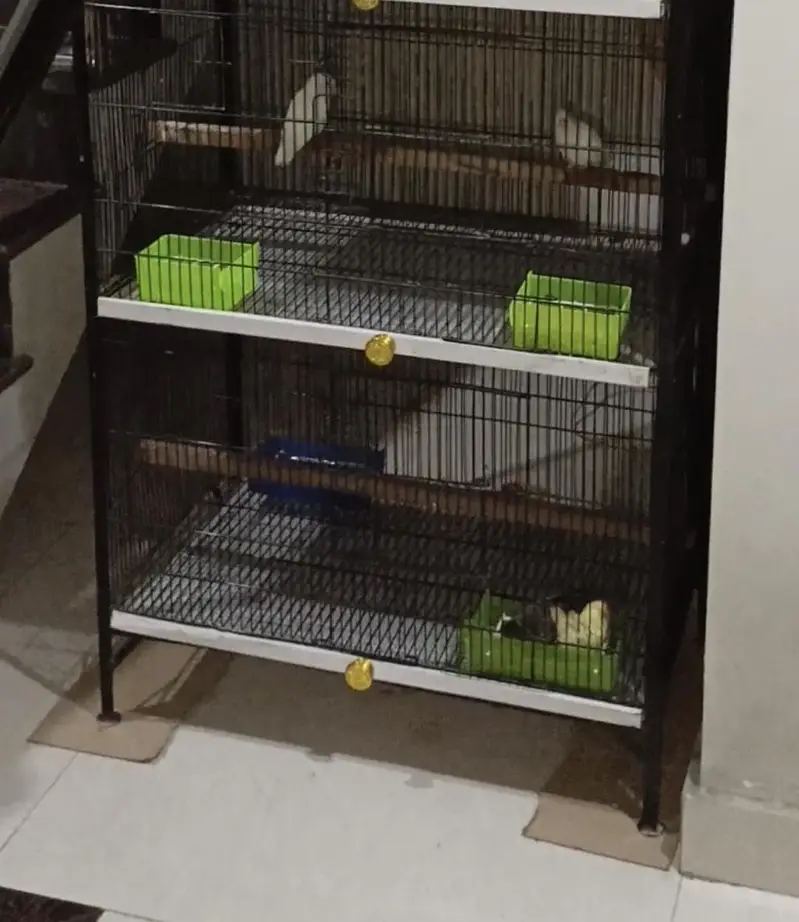 cage 4 pairs — photo 2