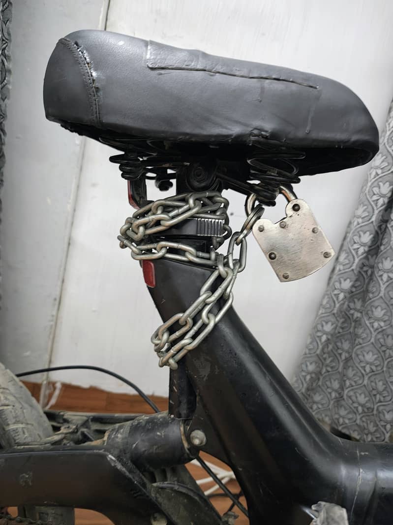 electric cycle 4
