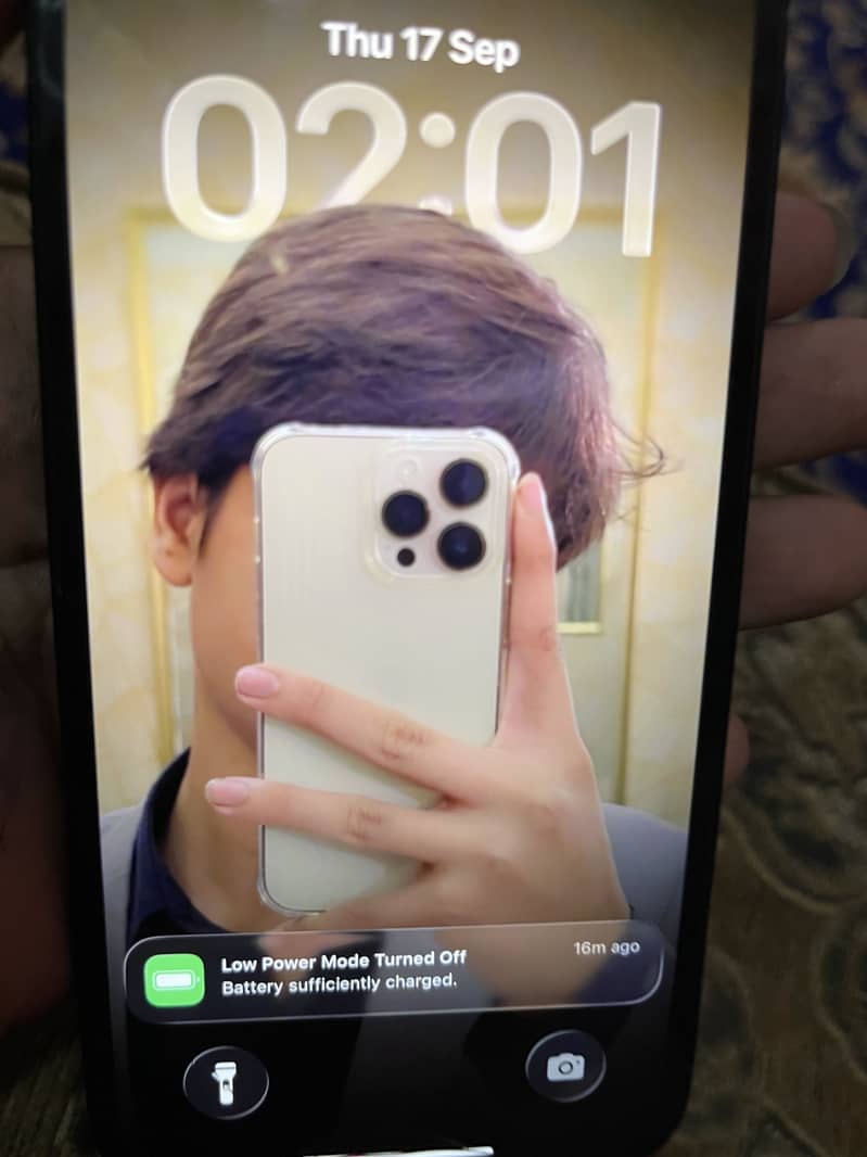 Apple iPhone 12 0
