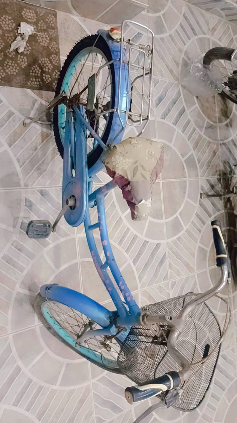 Cycle 3