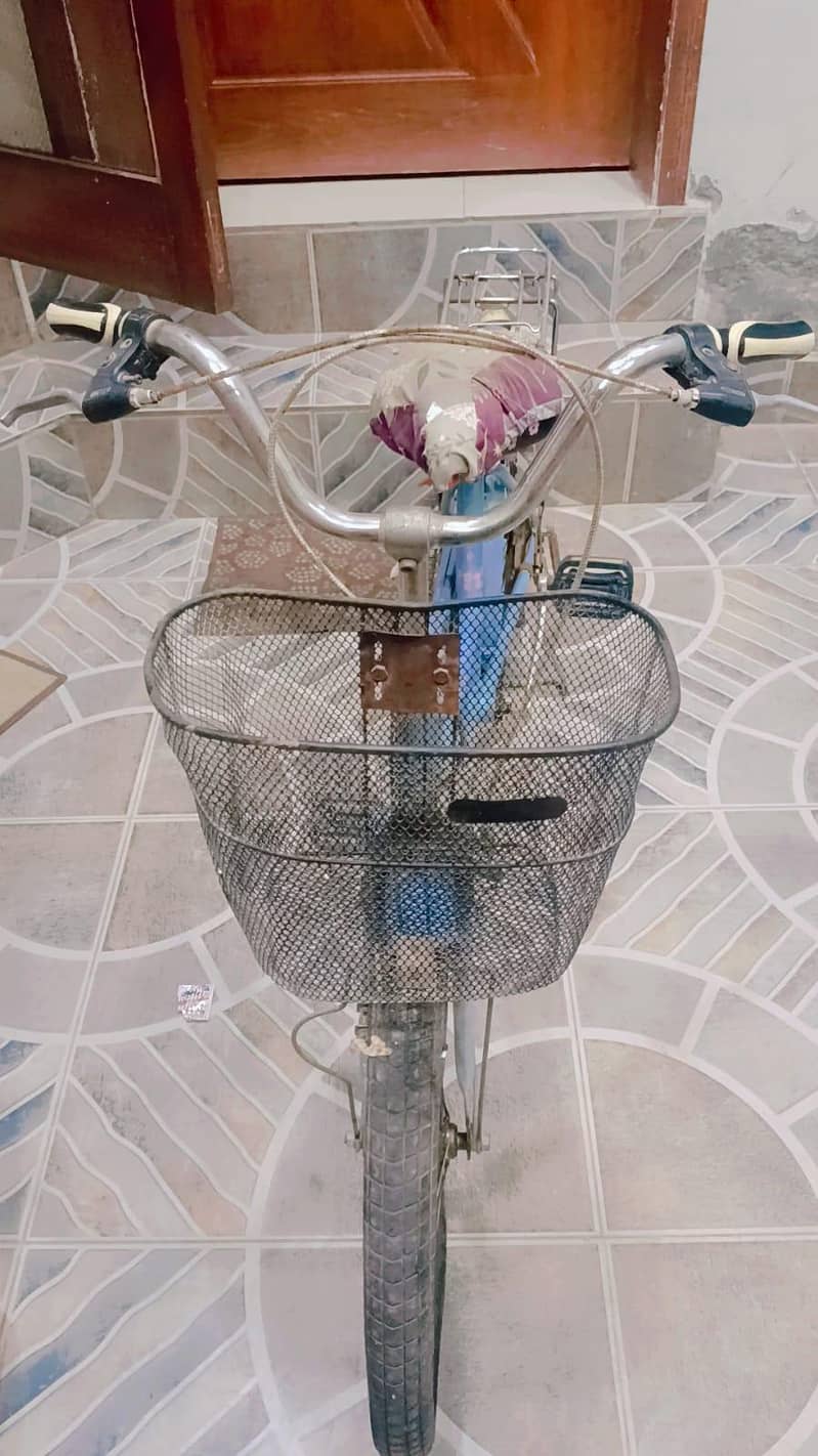 Cycle 4