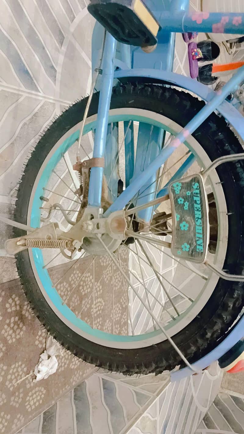 Cycle 6