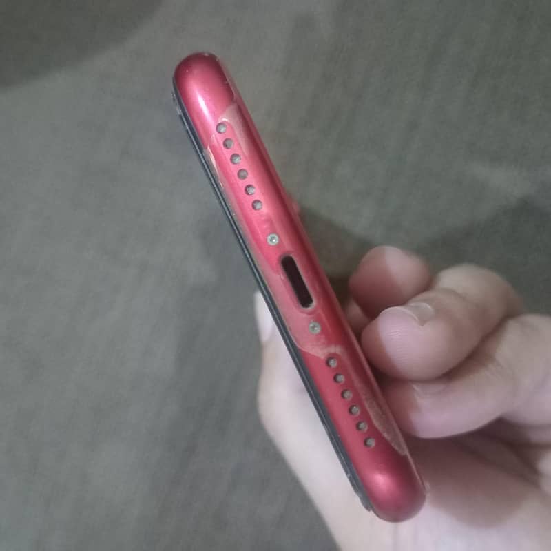 Apple iPhone 11 3