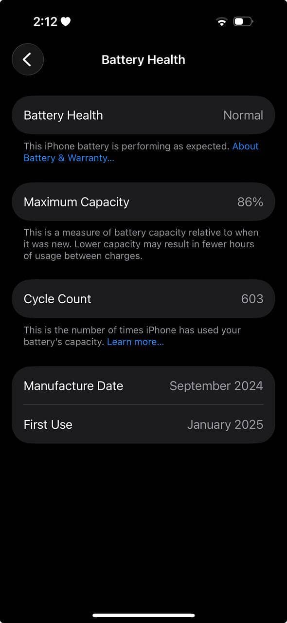 Apple iPhone 16 1