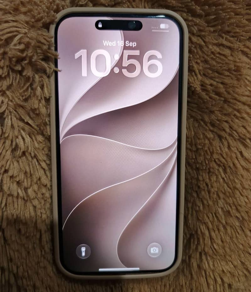 Apple iPhone 16 Pro Max 1