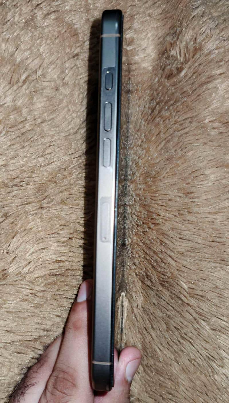 Apple iPhone 16 Pro Max 3