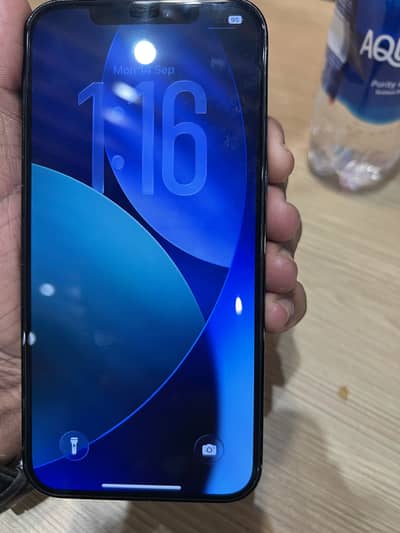 Apple iPhone 12 Pro Max