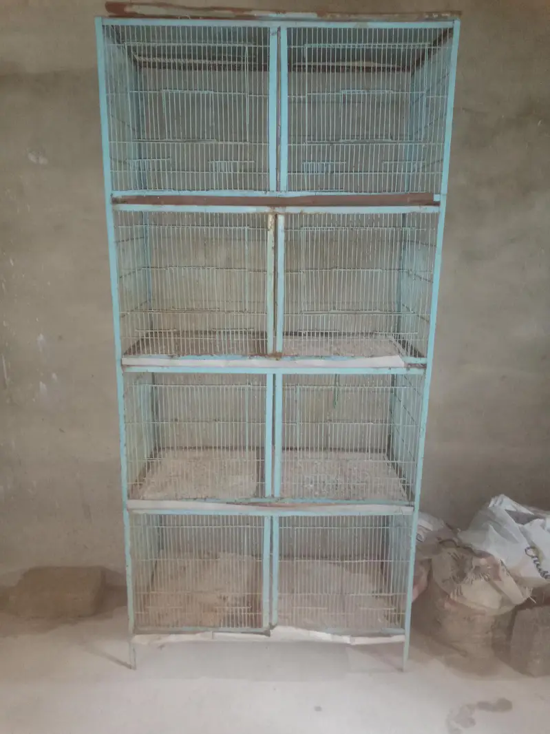 jobi birds breeding k lye apko chayya mil jai ga read Description ma — photo 6