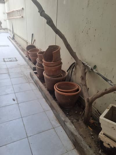 Pots / Gamlay
