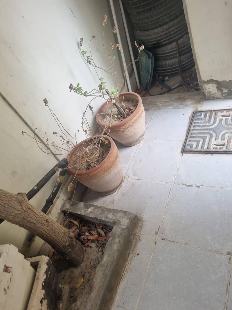 Pots / Gamlay 2