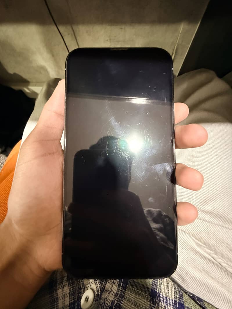 Apple iPhone 13 Pro Max 1