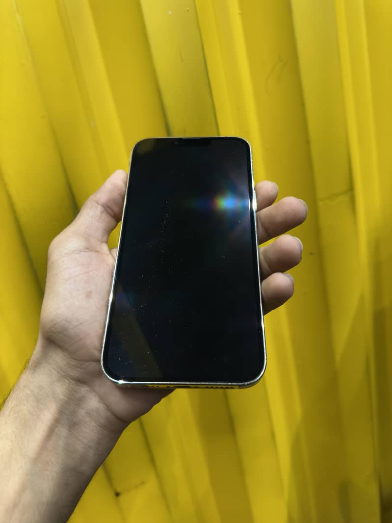 Apple iPhone 13 Pro Max 1