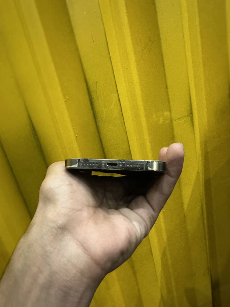 Apple iPhone 13 Pro Max 2