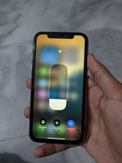 Apple iPhone 11