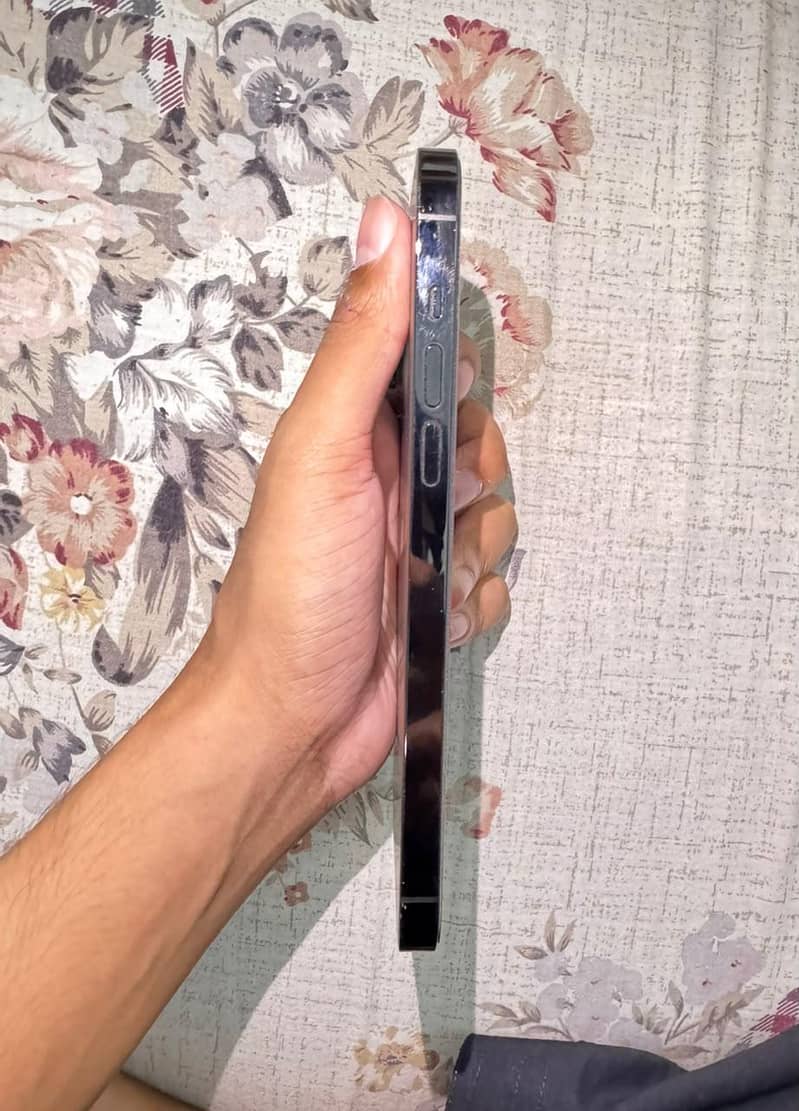 Apple iPhone 14 Pro Max 2