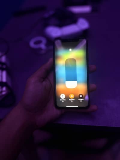 Apple iPhone XS factory unlocked