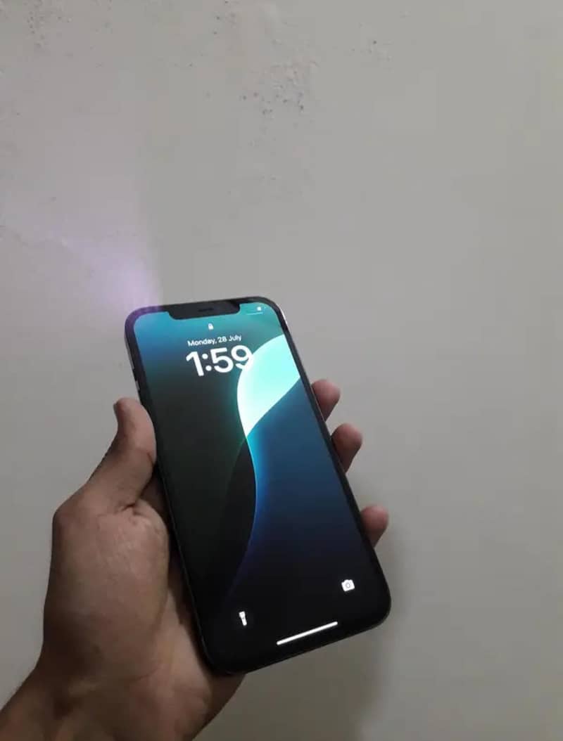 Apple iPhone 12 Pro Max 1