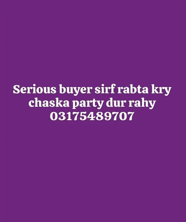 aseel Madi for sale urgent — photo 5