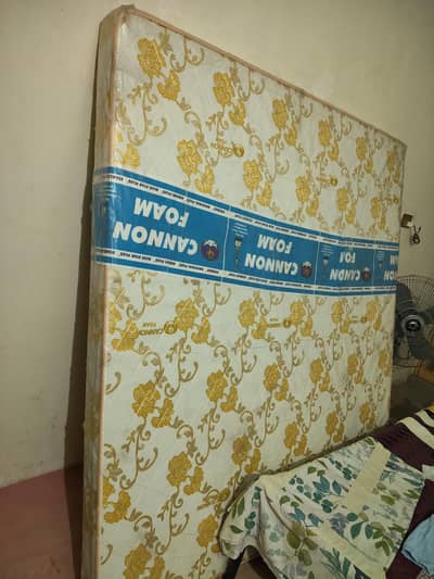 MEDICATED FOAM 03234586913
