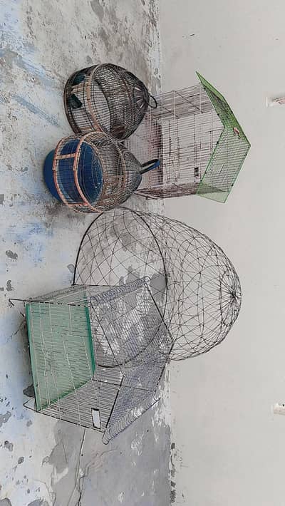 cages for sale