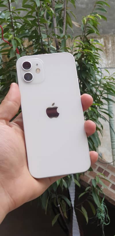 Apple iPhone 12