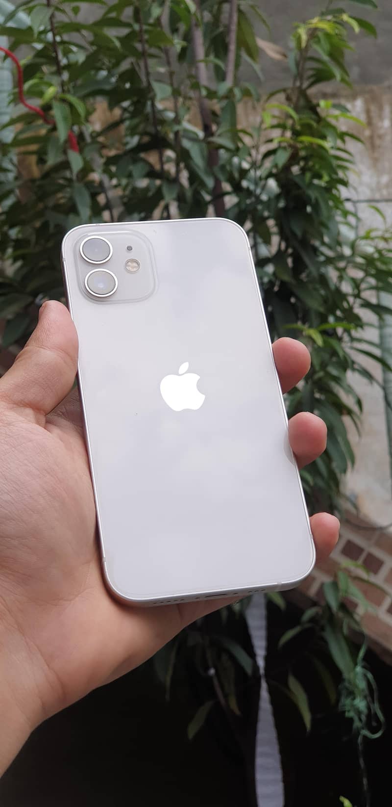 Apple iPhone 12 1